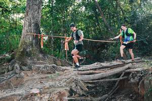 BIB: 
                            <button type="button" onclick="openModal(27305155)" class="btn btn-primary btn-sm float-right btn-popup" data-toggle="modal" data-target=".modal-high-quality">
                        <i class="fas fa-shopping-cart"></i> Add to Cart
                    </button>
                                            <button type="button" onclick="isThisMe(27305155, true)" class="btn btn-success btn-sm float-right btn-popup btn-isme hidden" data-toggle="tooltip" data-placement="bottom" title="นี่คือรูปของคุณใช่ไหม คลิกที่นี่เพื่อเอาเข้าอัลบั้ม">
                        <i class="fas fa-plus"></i> Add to album
                    </button>
                    <button type="button" onclick="isThisMe(27305155, false)" class="btn btn-warning btn-sm float-right btn-popup btn-isnotme hidden">
                        <i class="fas fa-ban"></i> Remove from album
                    </button>